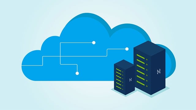 CPA network services