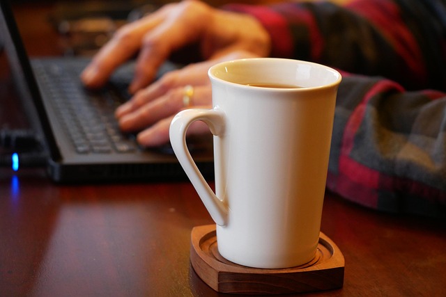 CPA work-from-home IT
