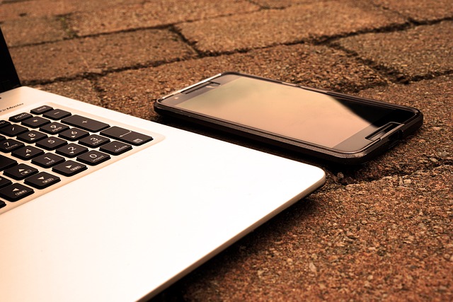 CPA work-from-home IT