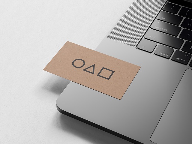 CPA work-from-home IT