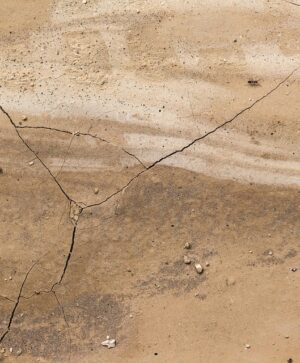 Mastering Crack Repair: Techniques for Structural Concrete Damage Restoration