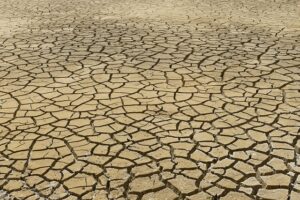 Mastering Concrete Leveling: Comprehensive Crack Repair for Long-Lasting Structural Integrity