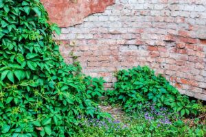 Concrete Crack Repair: Comprehensive Guide to Structural Health