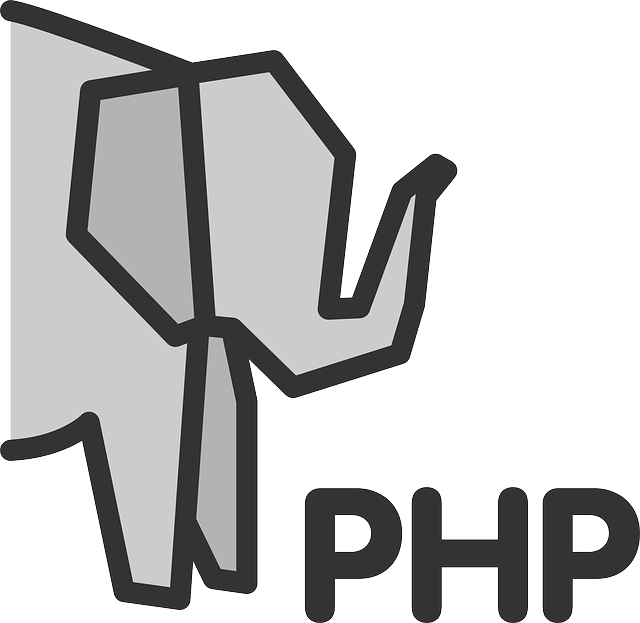 custom web development