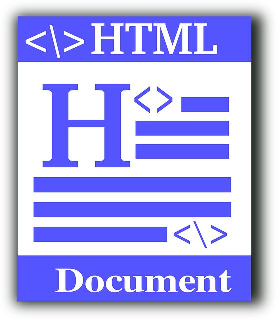 custom web development