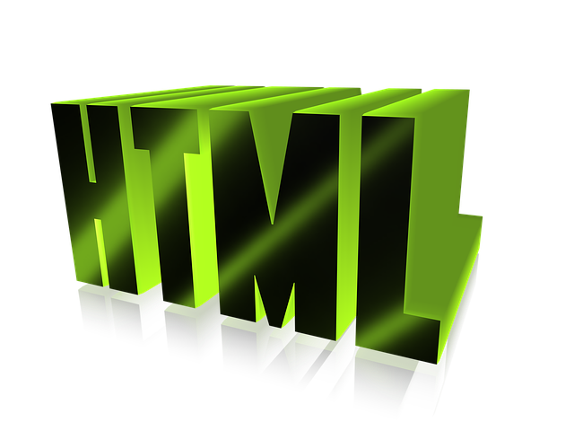 custom web development