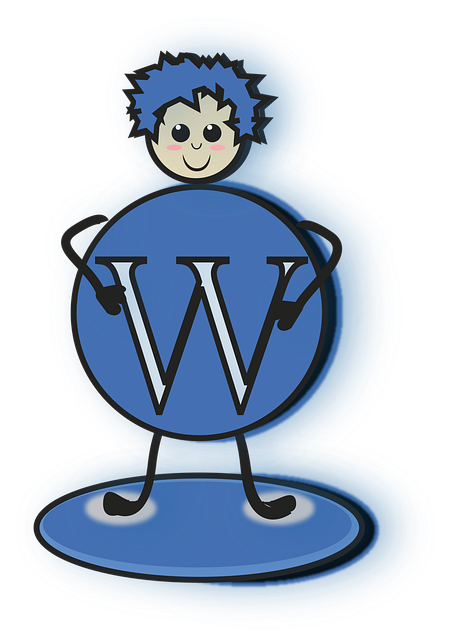 custom WordPress design