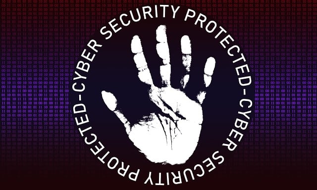 Cyber Insurance for Data Protection