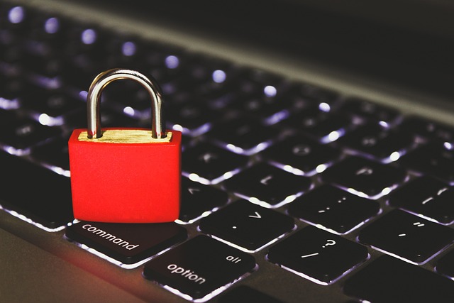 Cyber Insurance for Data Protection