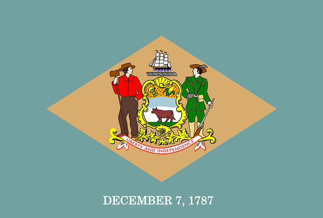 Delaware helpdesk
