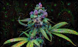 Delta-8 THC: A Natural Pathway to Relaxation and Stress Alleviation Near You
