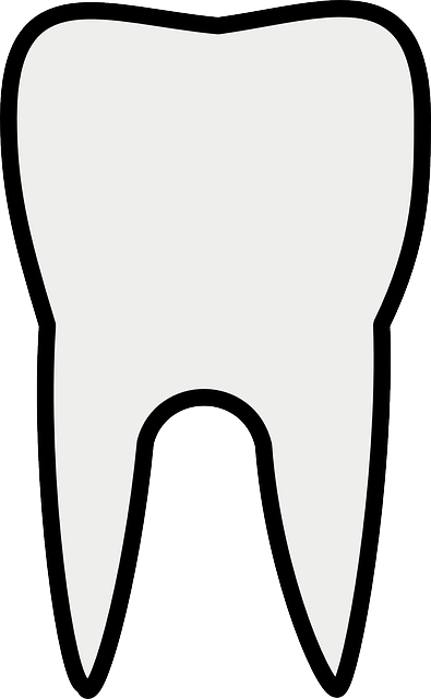 dental office commercial insurance