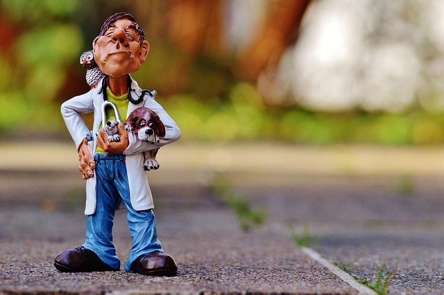 doctor marketing services