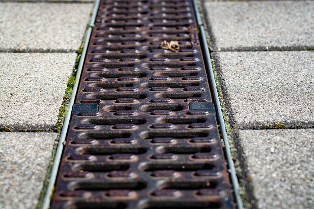 drain cleaning services