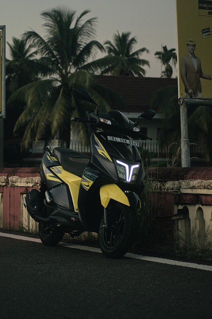 electric scooters for adults