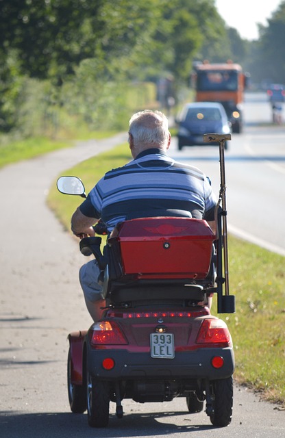electric scooters for adults