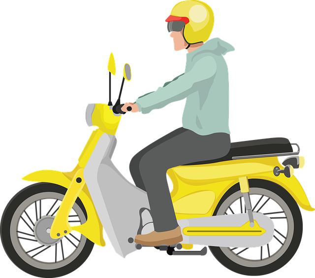 electric scooters for adults