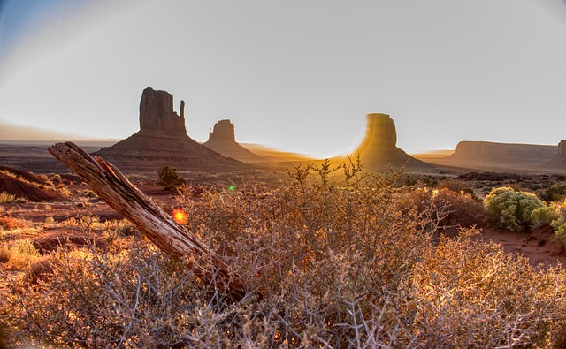 emotional health Mesa