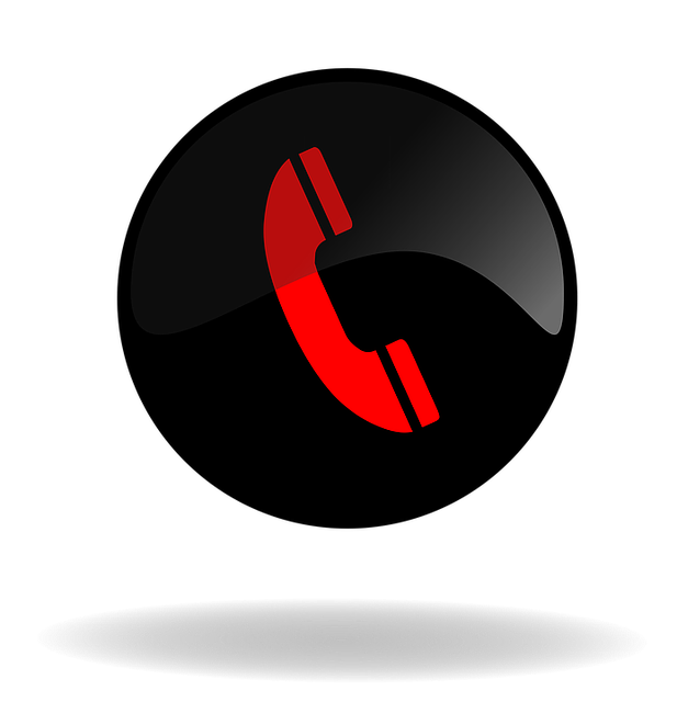expert web design services