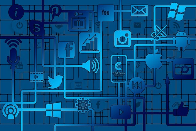 expert website design services
