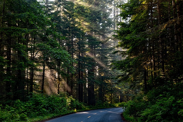 family mediation California