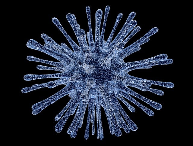 Fat Cell Freezing