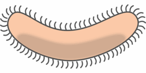 Customized Fat Cell Freezing: A Comprehensive Guide to Body Contouring