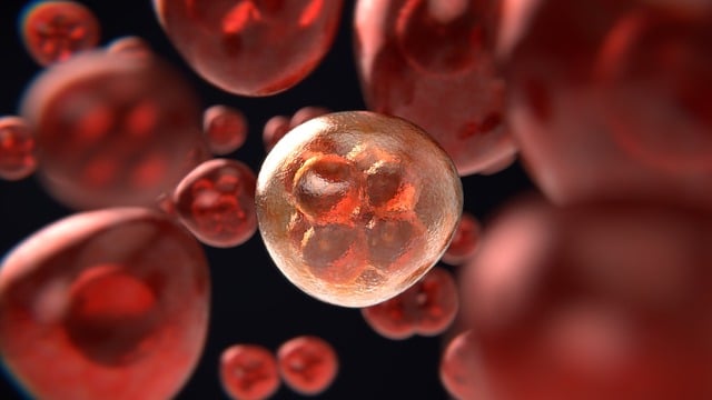 fat cell freezing