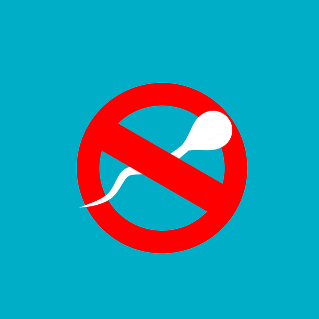 fertility support Austin