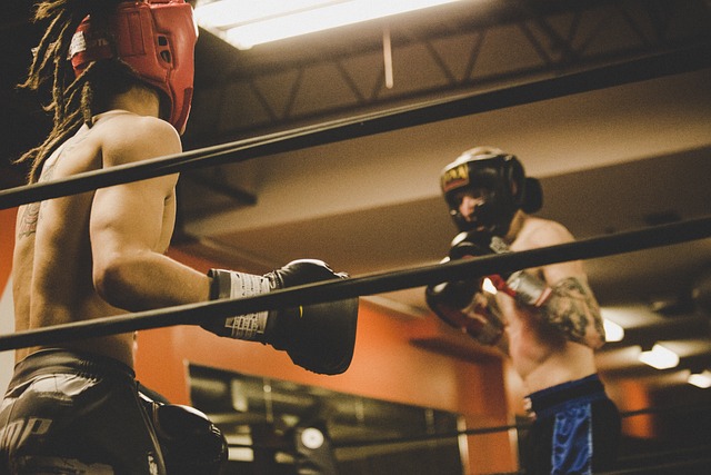 fight training gym Tempe