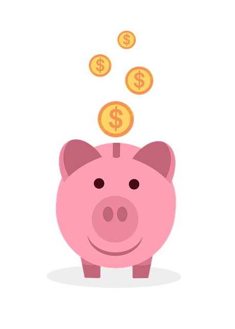 financial compliance MSP