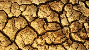 Mastering Concrete Foundation Crack Fixing: Comprehensive Guide