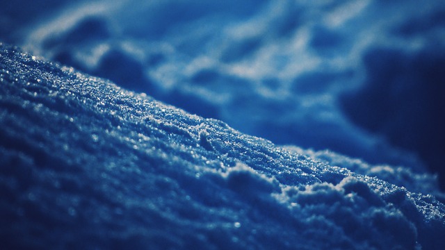 Freeze Fat Cells