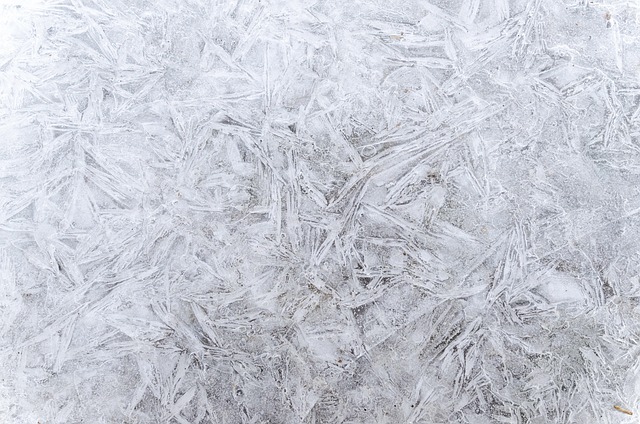 Freeze Fat Cells