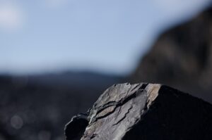 Unleash Local Search Dominance with NAP Schema Markup Mastery