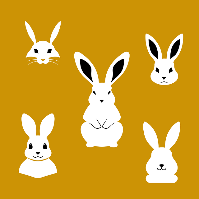 Graphic Design