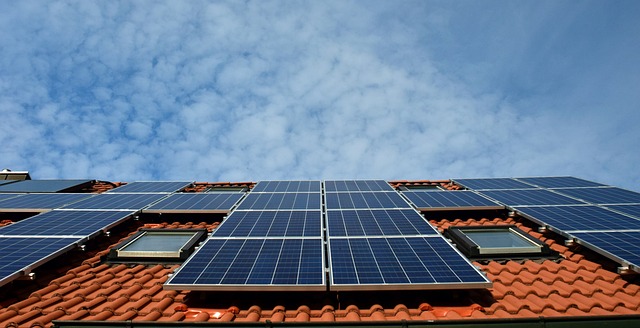 green roofing systems