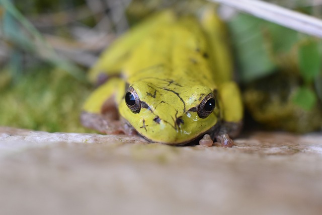 green roofing systems near me