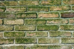 Grout Sealing Services: Protect Your Home from Mold & Stains