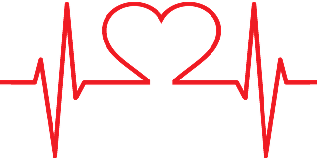 healthcare phone support USA