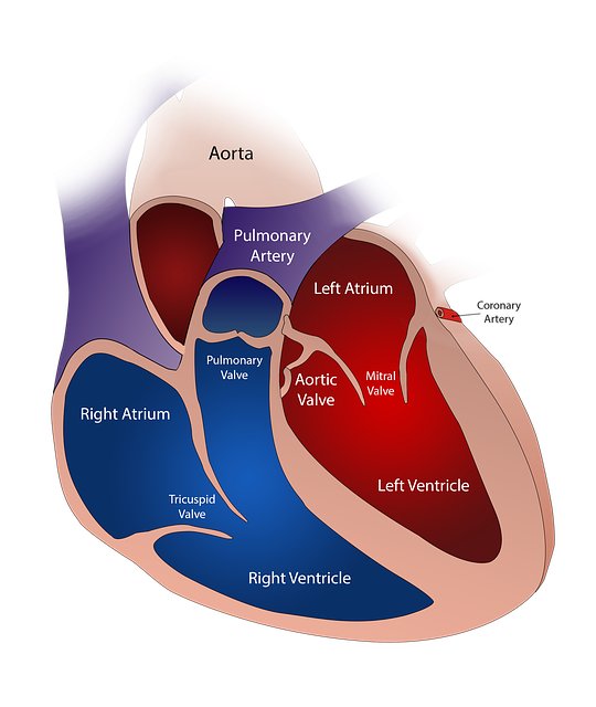 healthcare scheduling system