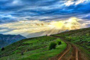 Breadcrumb Trail Schema: Enhance Internal Linking & User Experience