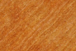 Deep Steam Cleaning: Citrus Bright’s High-Temperature Water Extraction Revolution