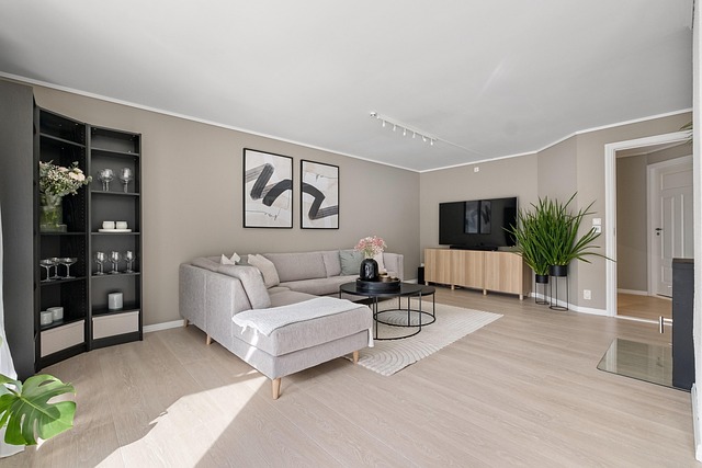 house carpet cleaners