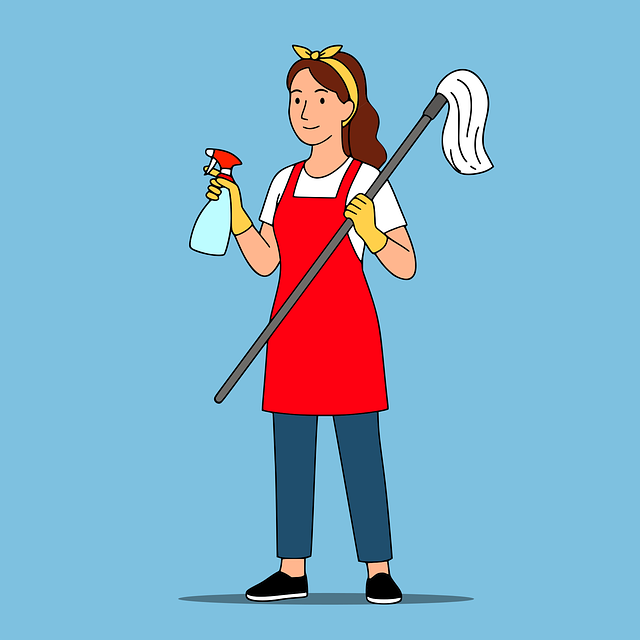 house carpet cleaners