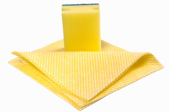 house carpet cleaners