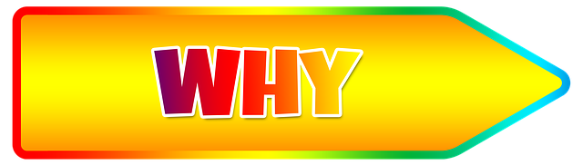 How to Choose the Right Business Insurance