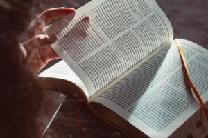 Master Internal Linking with Optimal Anchor Text for WordPress Sites