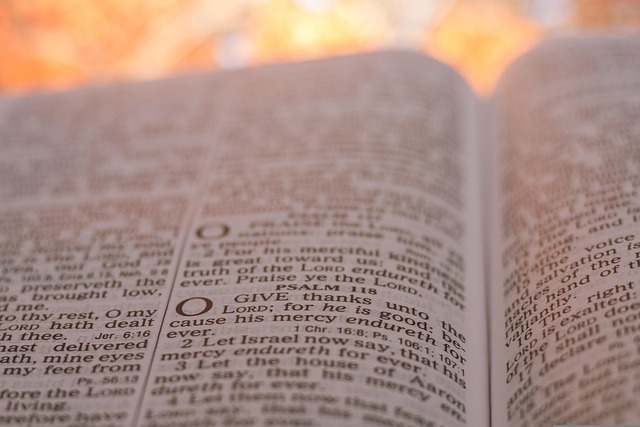 how to use semantic anchor text