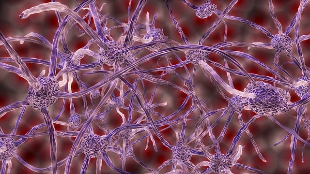 how to use smart internal links